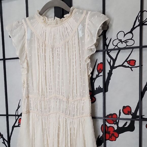 Ulla Johnson Jules Swiss Dot Silk Asymmetric Dress - Picture 5 of 11